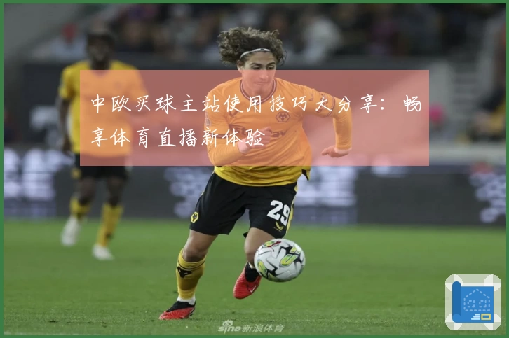 中欧买球主站使用技巧大分享：畅享体育直播新体验