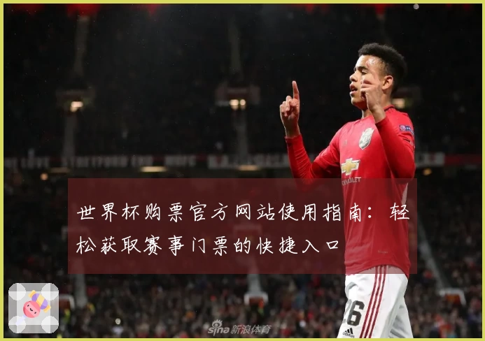 世界杯购票官方网站使用指南：轻松获取赛事门票的快捷入口